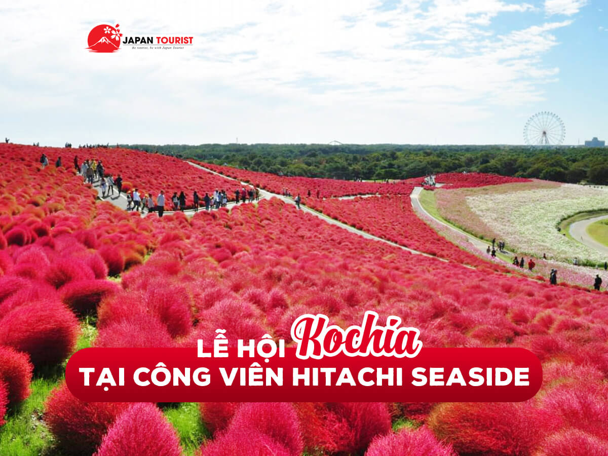 Lễ hội Kochia tại công viên Hitachi Seaside