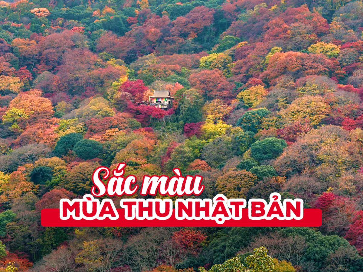 Sắc màu mùa thu Nhật Bản