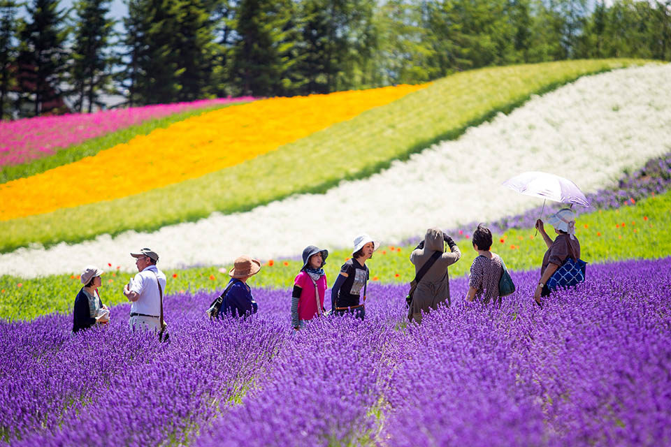 DU LỊCH HOKKAIDO MÙA HÈ