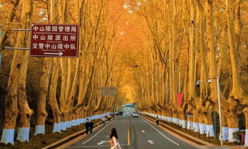 Lịch trình tour Trung Quốc 5 ngày 5 đêm: Ăn gì Chơi gì để không bị lãng phí?