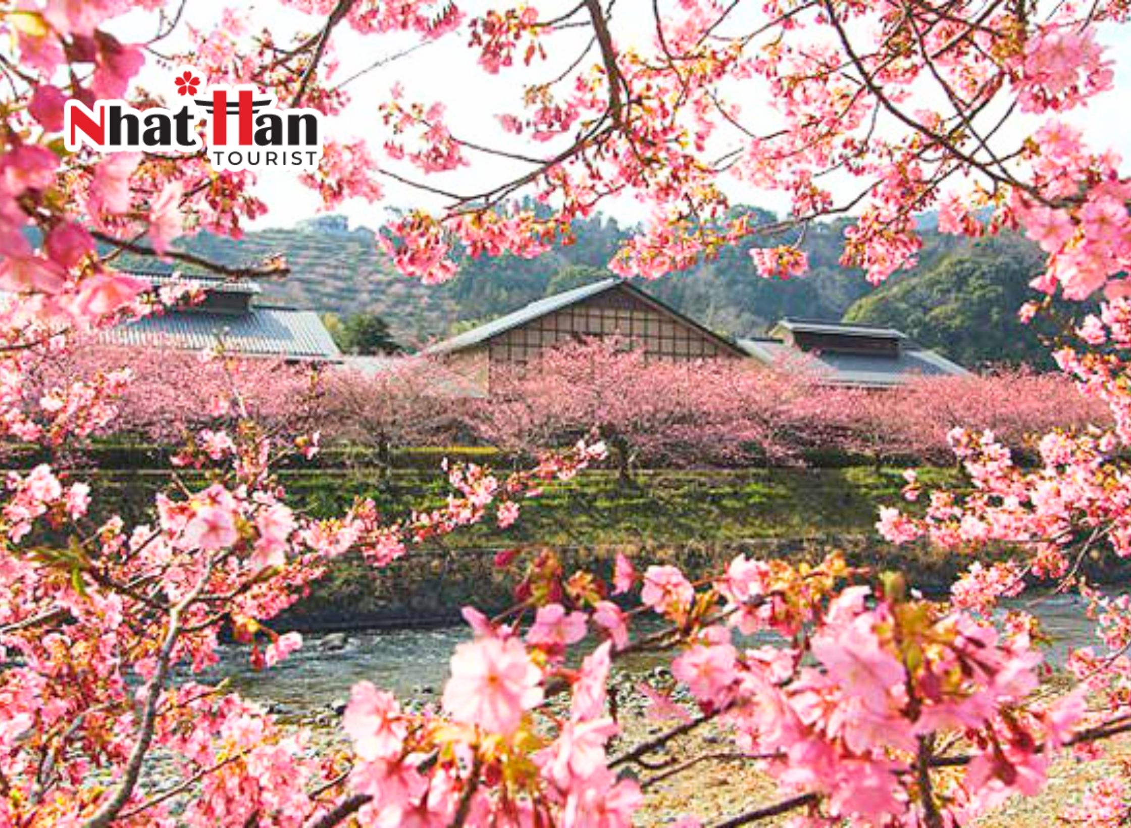 VN_TOUR MÙA XUÂN NHẬT BẢN :  TOKYO – YAMANASHI – TOYOHASHI – KYOTO – OSAKA – KOBETOKYO - HAKONE -  YAMANASHI – FUJI – NAGOYA – OSAKATRƯỢT TUYẾT VÀ NGẮM HOA ĐÀO NỞ SỚM